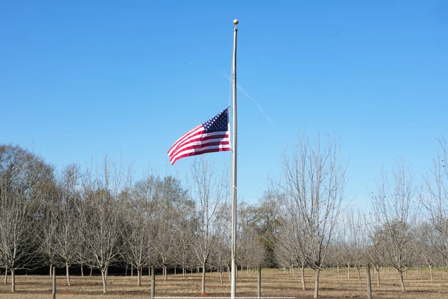 California and Colorado Join Red States in Raising Flags for Trump's Inauguration