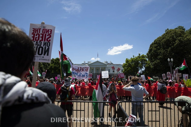 Pro-Palestinian Activists Respond to Trump's Impact on Palestinian Rights Movement