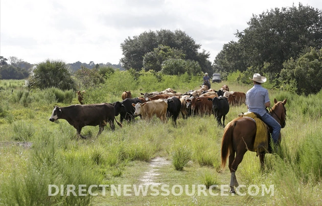 florida_for_sale_environmentalists_worry_that_states_conservation_lands_face_uncertain_future-1