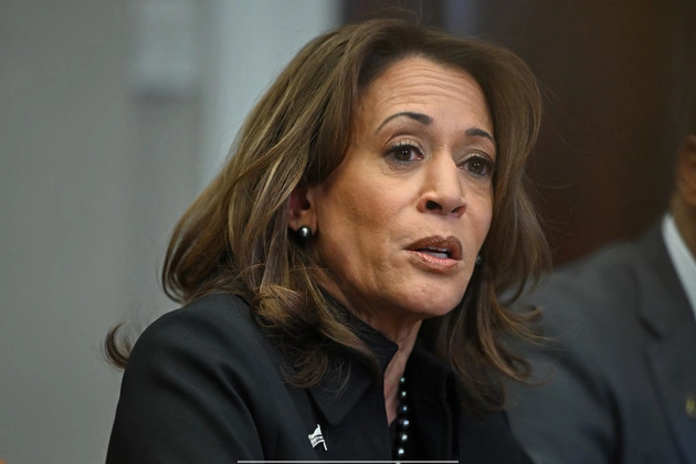 kamala_harris_brushes_off_california_governors_race_talk_at_fire_victims_shelter