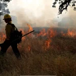 usda_to_restart_wildfire_grants_oregon_governor_says