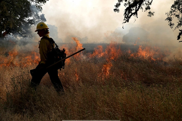 usda_to_restart_wildfire_grants_oregon_governor_says