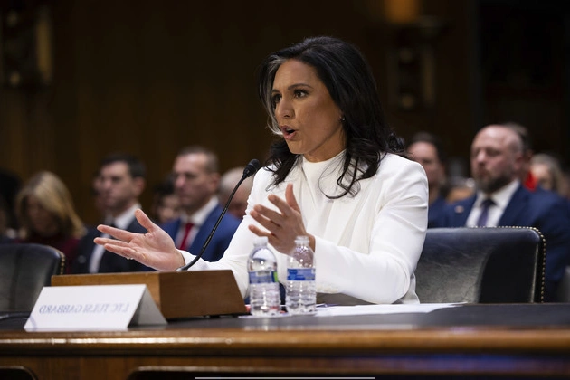 peace_is_not_zelenskyys_priority_tulsi_gabbard_says