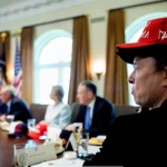 hes_a_snake_musk_jabs_at_trump_adviser_who_fueled_messy_presidential_breakup
